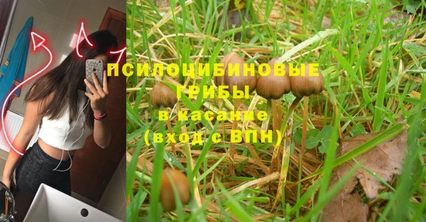 МДПВ Богданович