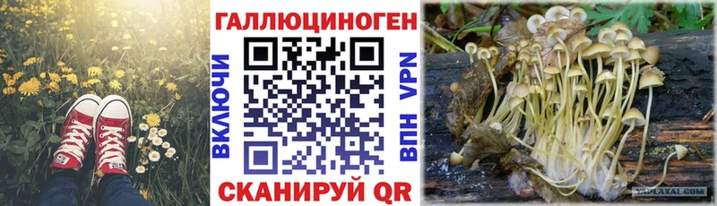 Галлюциногенные грибы мухоморы  MEGA ТОР  Ковылкино 